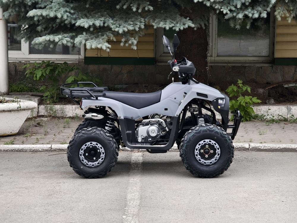 Lion 125 RR серый