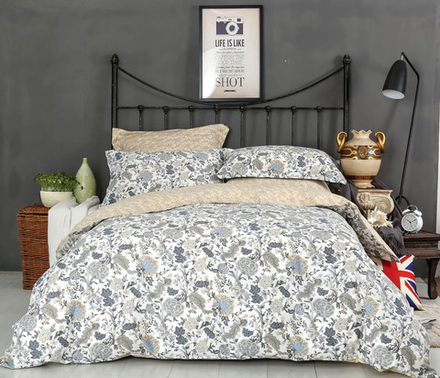 Постельное белье СайлиД B-183 сатин