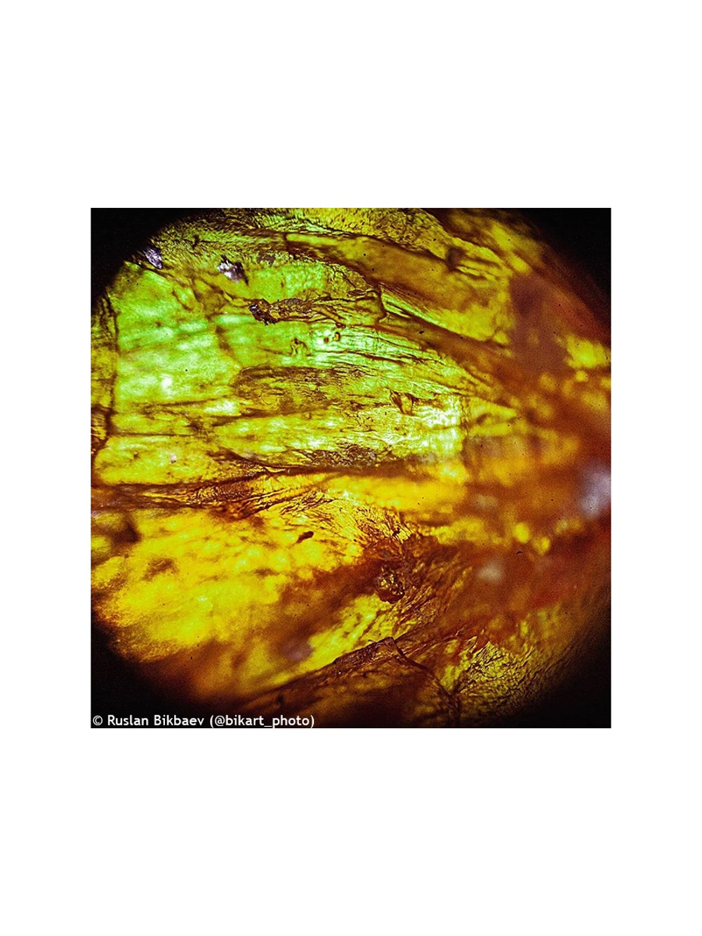 Микроскоп Levenhuk Rainbow 50L PLUS Аметист