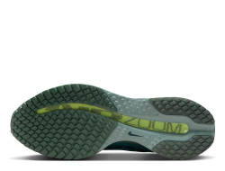 Кроссовки для бега мужские Nike Pegasus Premium M Сине-зелёный