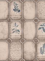 Розмарин - 51 светло-желтая