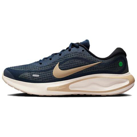 Мужские кроссовки Nike Journey Run 'Armory Navy Desert Khaki' FN0228-403