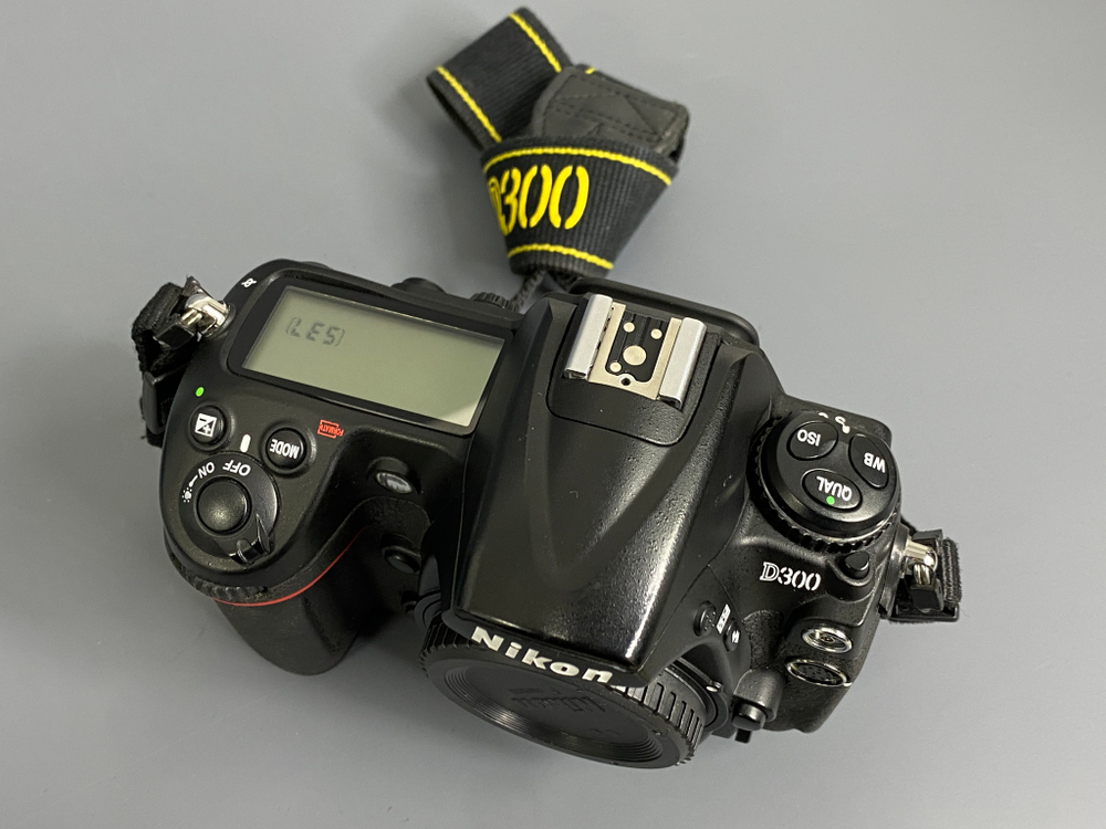 Nikon D300 54.000 кадров