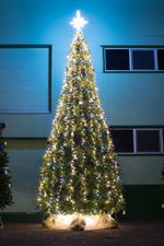 Уличная Гирлянда БЕЗ режимов "Классик одноцветный" (24В) для уличных елок от 3 до 15 м