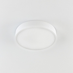 Накладной светильник Citilux CL72424V0