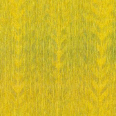 Arte Amazone 2 Fierce – 23505