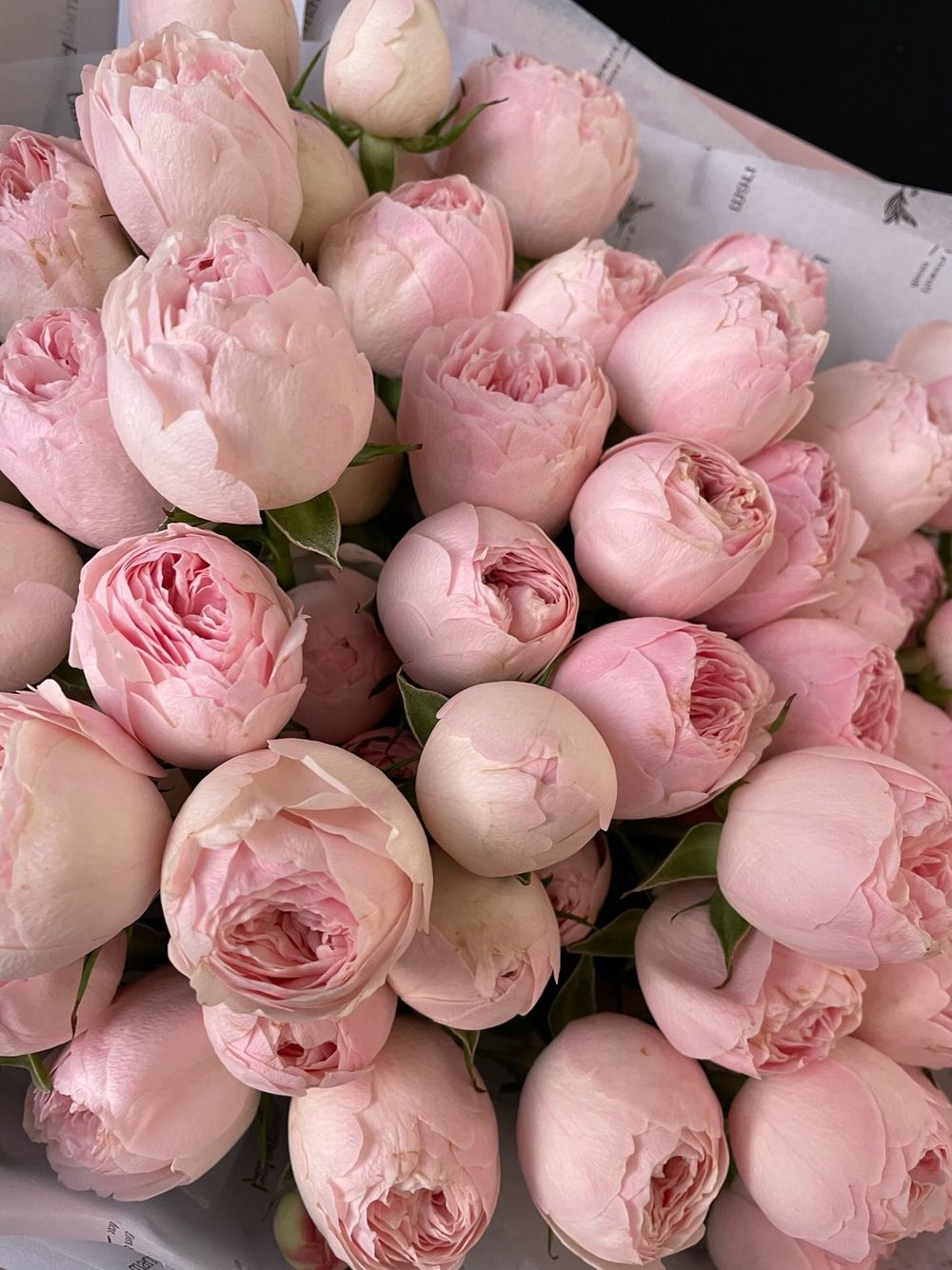 Букет из кустовой пионовидной розы Менсфилд парк