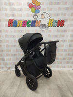 Коляска модульная 3в1 Farfello Molly Trio черный