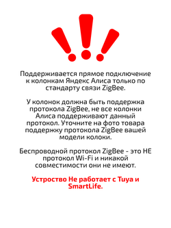 Умная розетка ZigBee 16А с Алисой