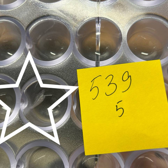 539-у | Форма для шоколадных изделий (275*175мм)