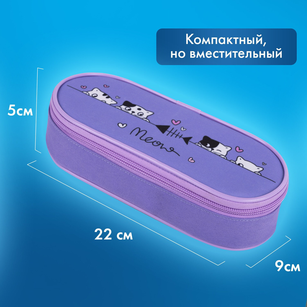 Пенал-футляр BRAUBERG 1 отделение органайзер полиэстер 22x9х5 см "Meow" (2 штуки в упаковке)