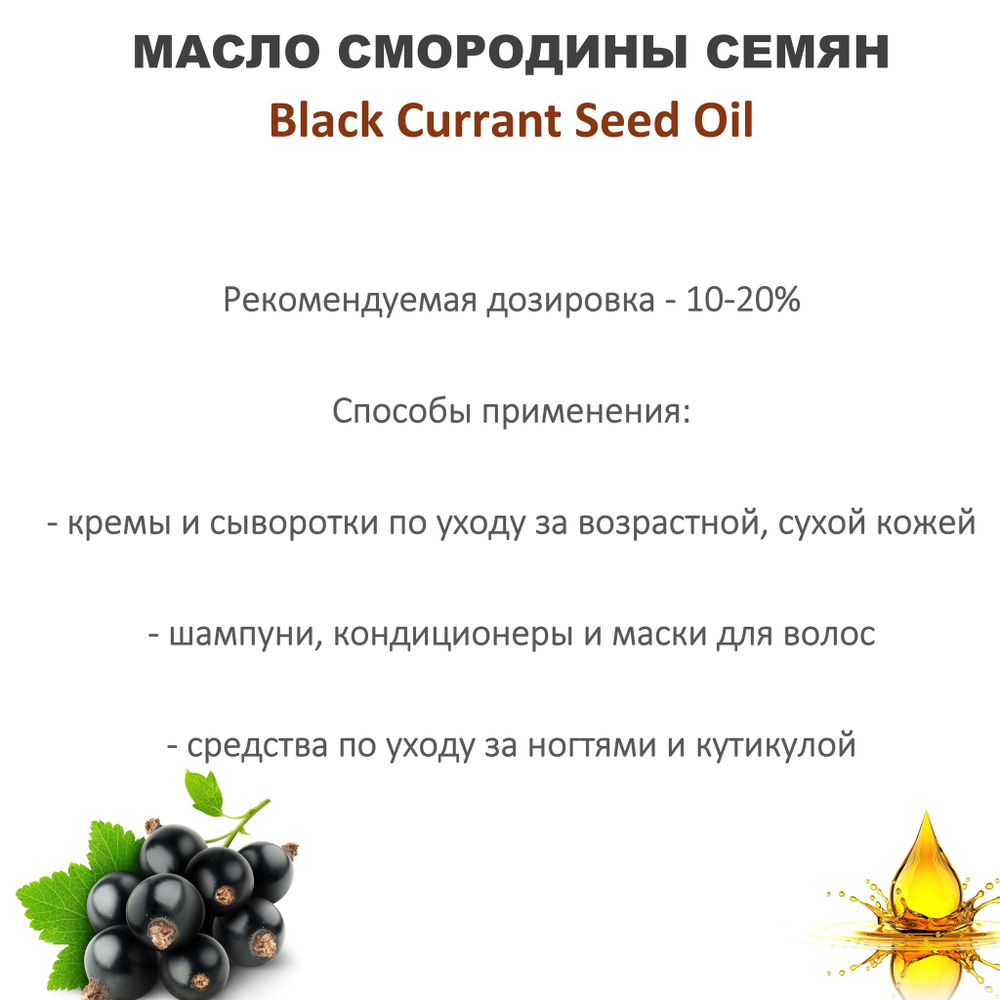 Масло чёрной смородины семян, рафинированное