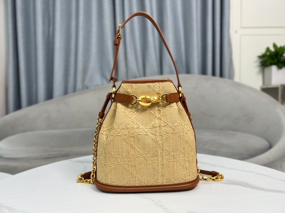 Christian Dior Medium C'est Dior Bag