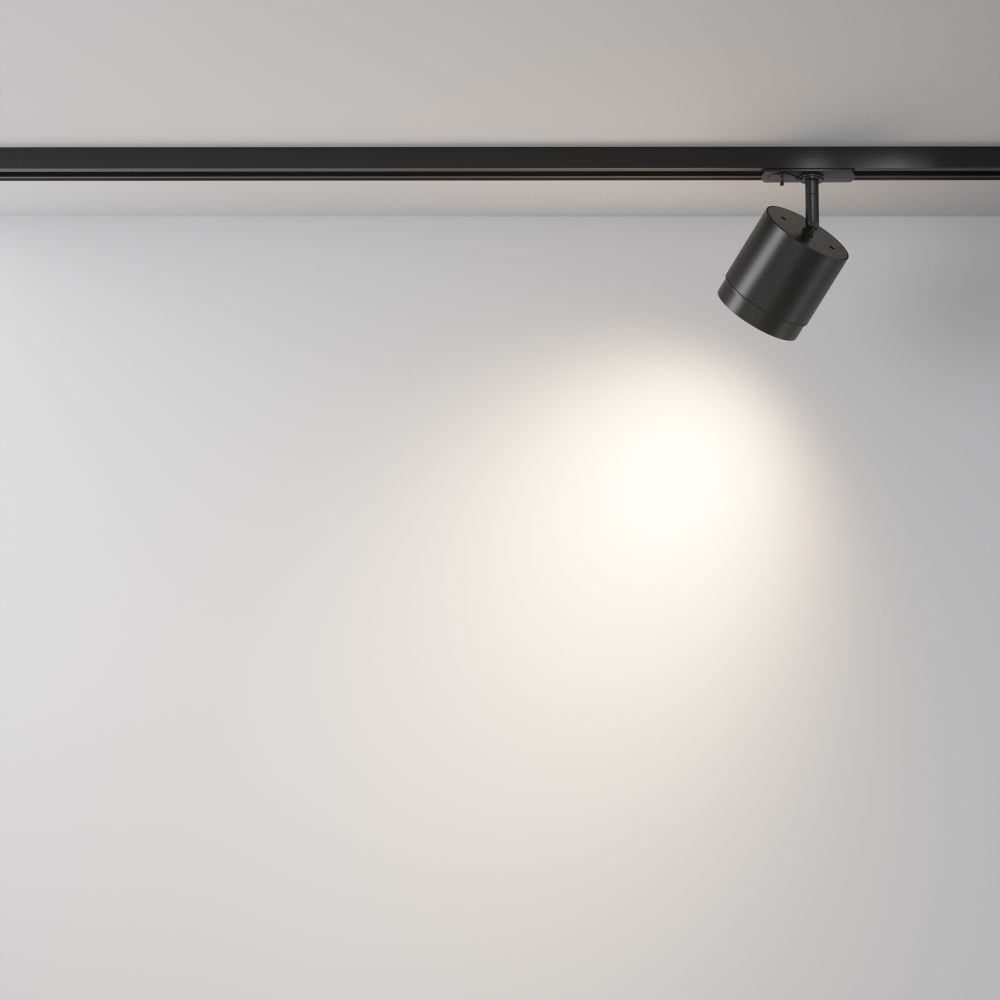 Трековый однофазный светильник Maytoni Unity Polar TR088-1-GX53-B