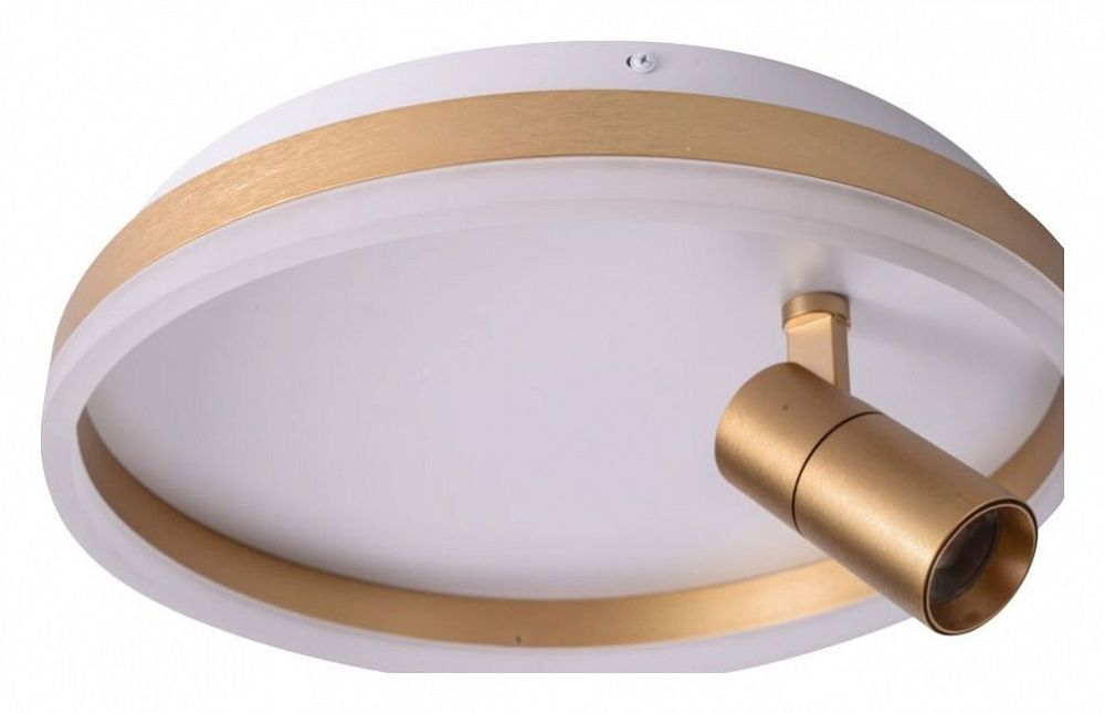 Накладной светильник Zortes Raizy ZRS.1888.04