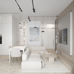 DK5547-BK Поворотный светильник для трека-ремня Belty, серия Spot, со светодиодом, D35*L126.5мм, 48V DC, 7W, RA90, 30°, 3000K, IP20, черный, алюминий