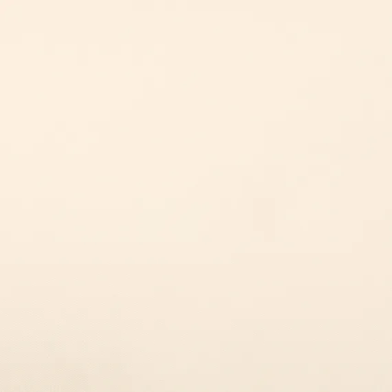 Набор из двух наволочек из сатина белого цвета из коллекции essential, 50х70 см