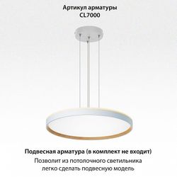 Накладной светильник Citilux ETALON CL750500R