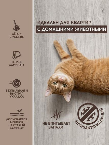 SPC ламинат I-Floors Chamfer 4v - Дуб Кодарский