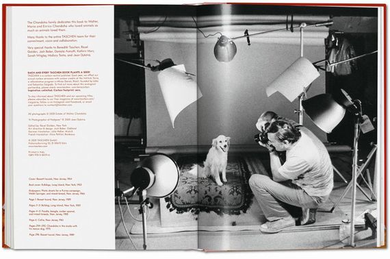 Walter Chandoha. Dogs. Photographs 1941–1991