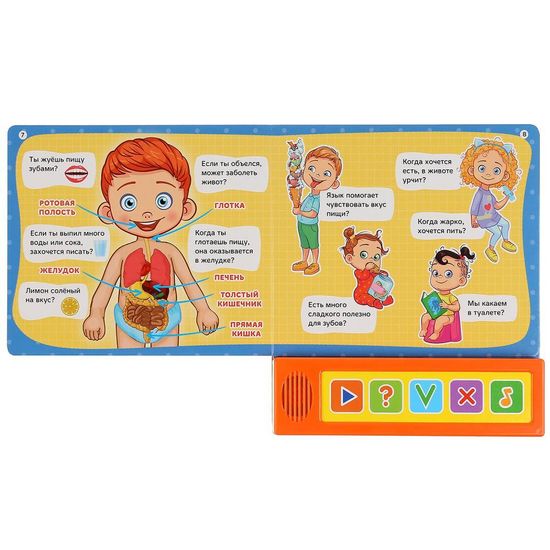 Викторина (5 звук. кнопок). Тело человека.  Формат: 200х175мм, 10 карт. стр. "Умка"