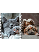 Записная книжка А6 120л. "Милые котики-6" на гребне, мелов.облистер (Проф-Пресс)