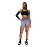 Баскетбольные женские шорты Jordan Sport Purple Shorts