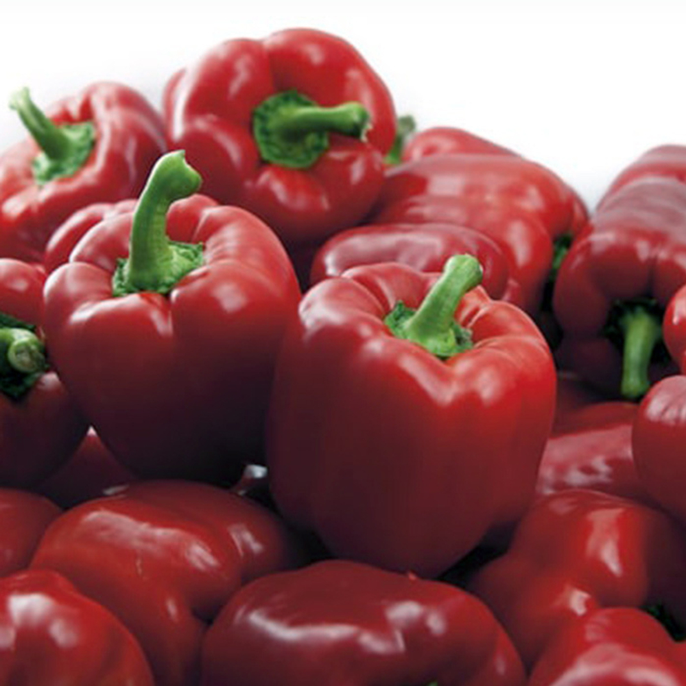 Екла F1 семена перца сладкого (Syngenta / Сингента)