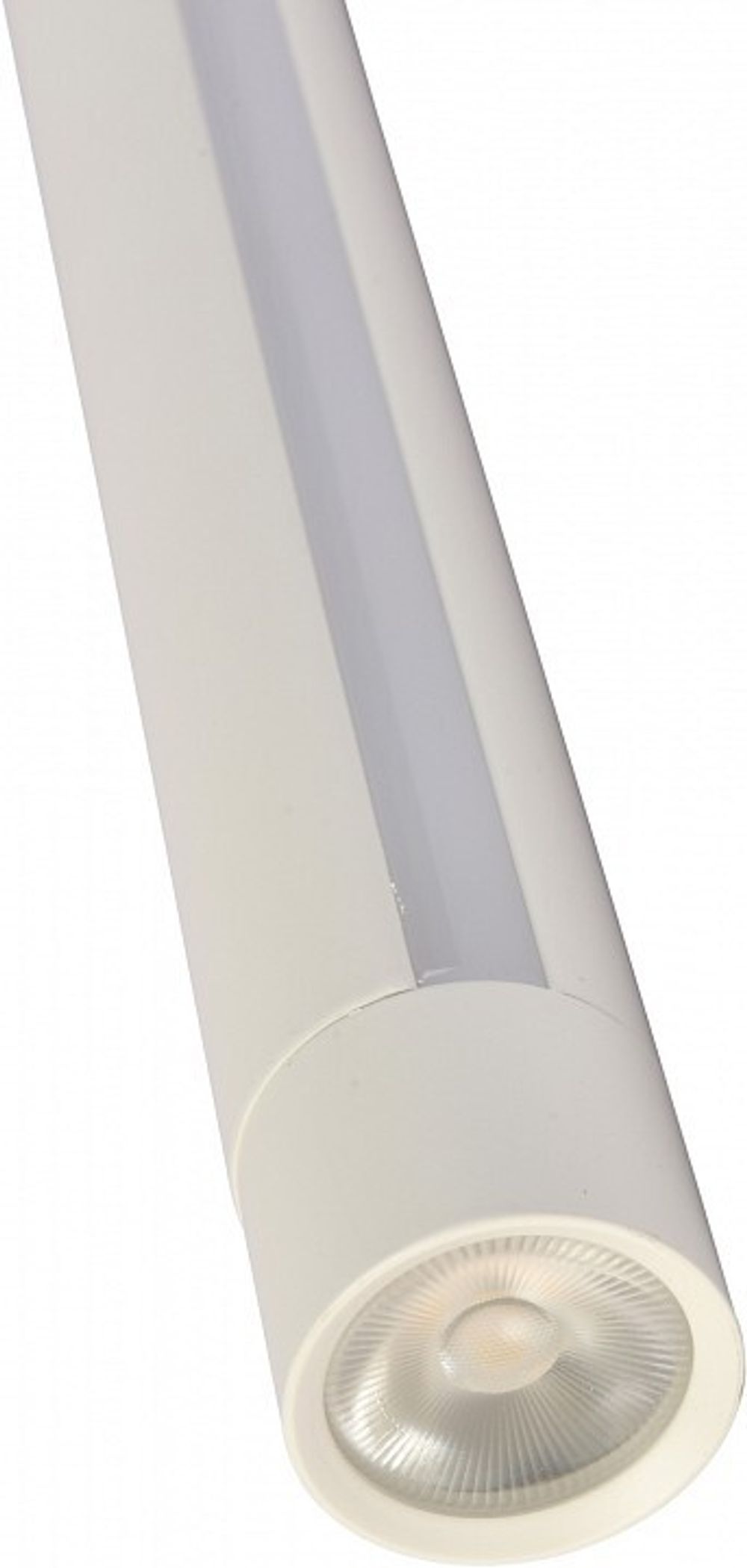 Подвесной светильник Favourite Lamba 3080-1P