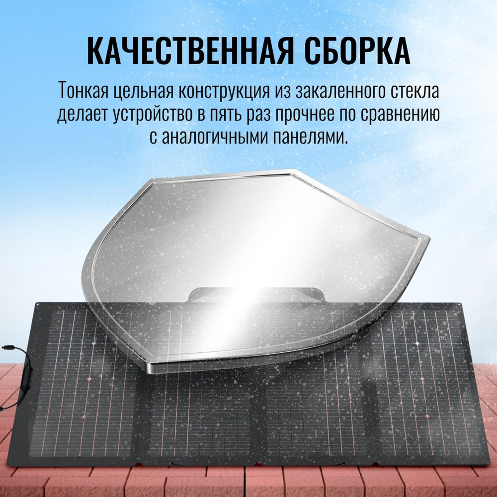 Солнечная панель складная двусторонняя EcoFlow 220 Вт