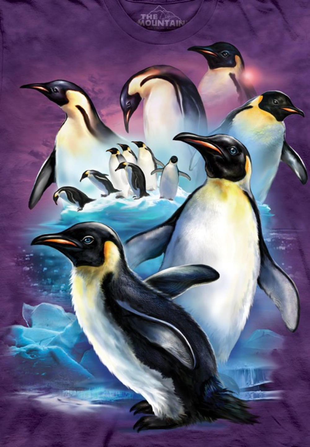 Emperor Penguins