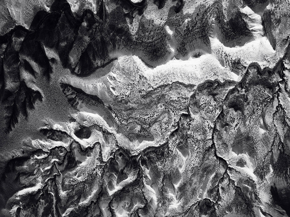 Дизайнерские обои Wall Street Bird see