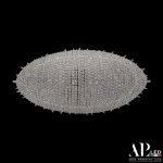 Потолочная люстра Rimini S508.0.50.B.3000