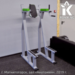 Пресс-брусья профессиональные