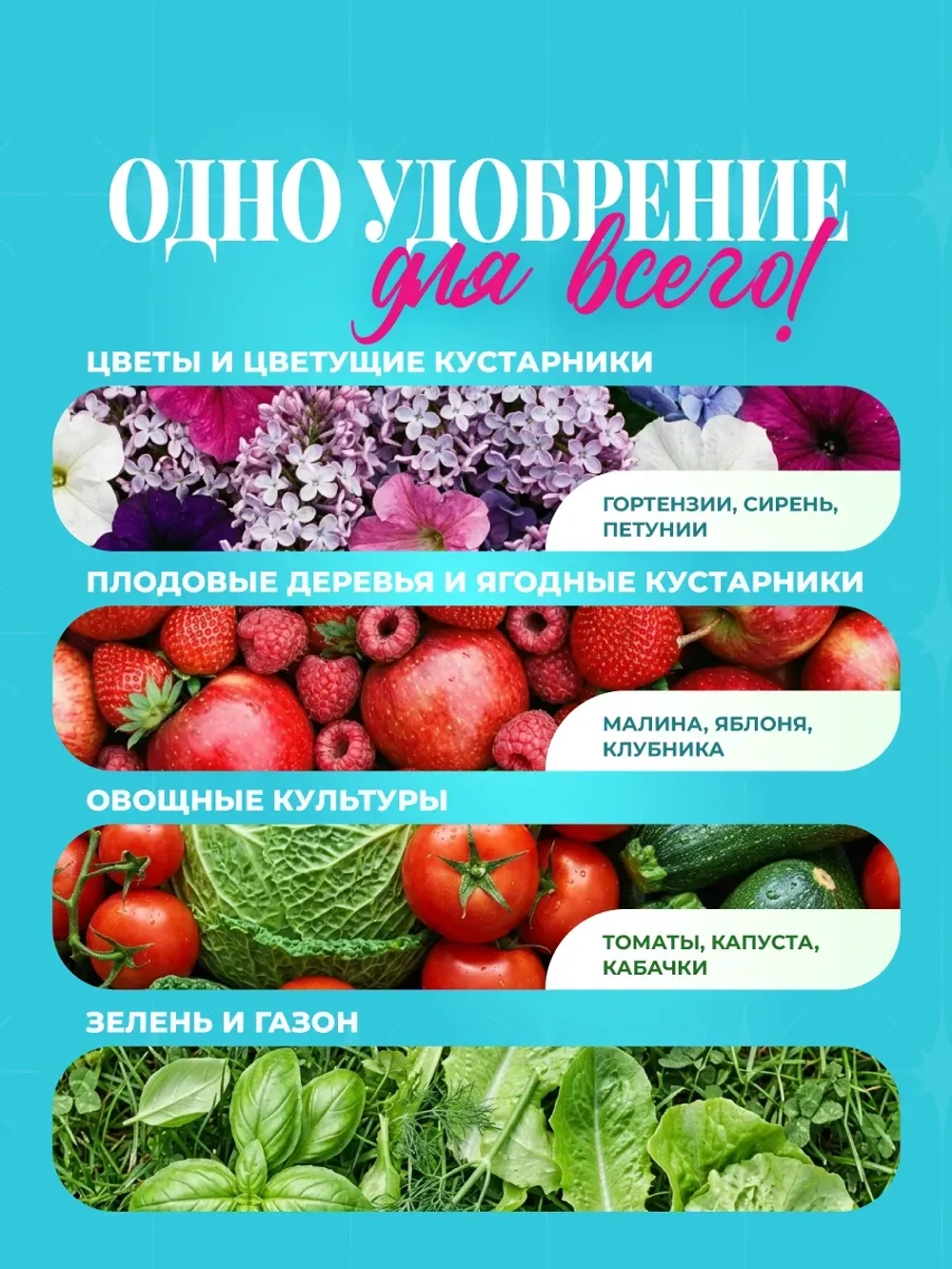 Удобрение комплексное для хвойных и туй 500 гр