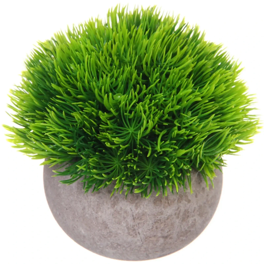 Цветочная композиция «Green garden» 10*12см в горшке, трава