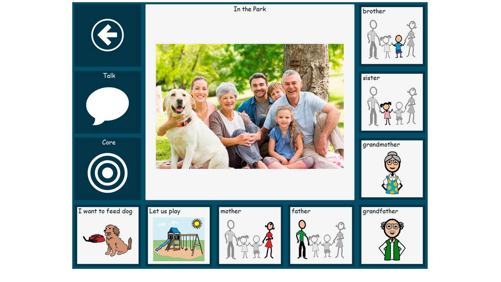 Программное обеспечение Communicator 5 - для преобразования текста и символов в синтезированную речь