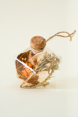 Льдинка Сильный