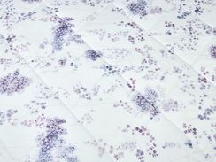 Одеяло ЛЕТНЕЕ 100% Тенсель 1966 Asabella