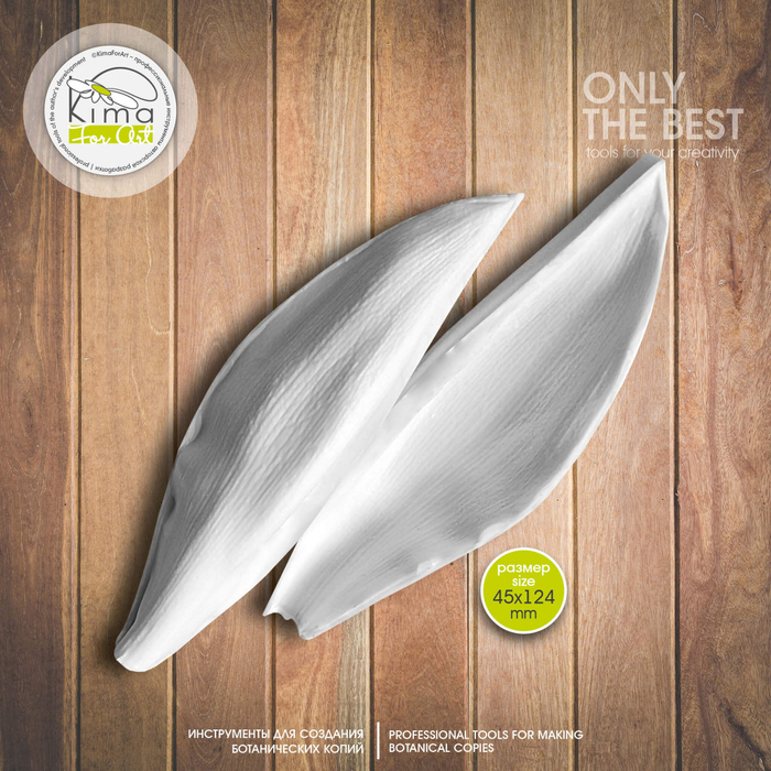 Тюльпан лист средний узкий