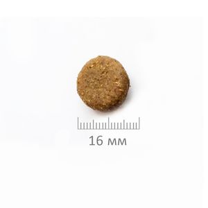 Уценка! Срок 05.07.26/ Сухой корм ProBalance Adult Active для взрослых собак с высокой активностью