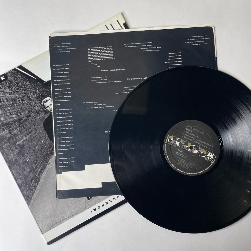 Винтажная виниловая пластинка LP Black Wonderful Life (Канада 1987) Sweetest Smile