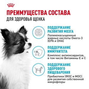 Сухой корм Royal Canin X-Small Puppy для щенков очень мелких размеров до 10 месяцев