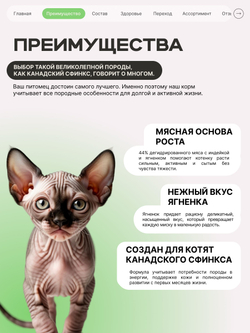Корм сухой для котят породы Канадский сфинкс, с ягненком, 2 кг, QUATTRO