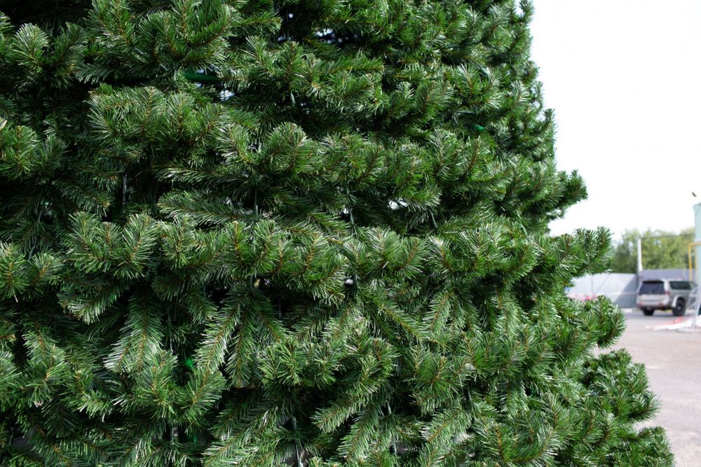 Уличная елка каркасная "Испанская" (пвх) высота от 3 до 30 м