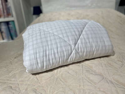 Одеяло "Оригинал Лебяжий пух" пл. 300г/м2 (ИвШС)