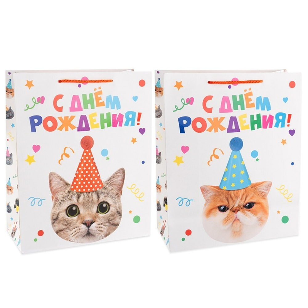 Подарочный пакет «Котик в колпачке», лаковый в трех размерах