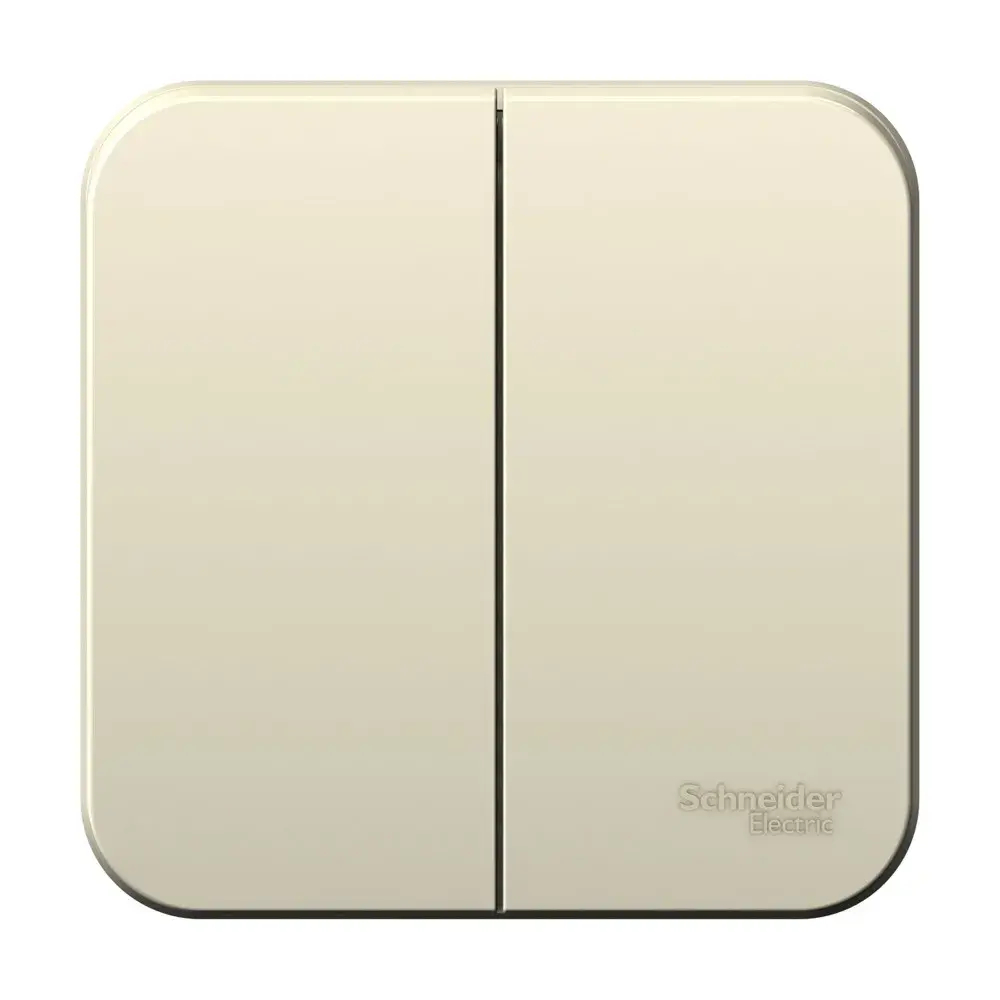 BLANCA О/У 2-клавишный ВЫКЛЮЧАТЕЛЬ (сх.5) ИЗОЛ.ПЛ., 6А, 250В,МОЛОЧНЫЙ