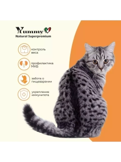 Влажный корм для кошек всех пород, индейка и овощи 12х100гр