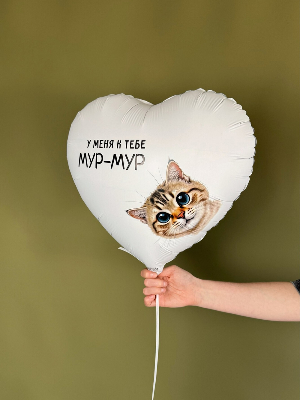 Фольгированный шар «У меня к тебе мур-мур»», 46 см
